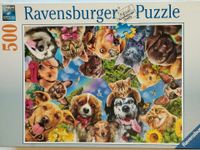 Ravensburger Puzzle 500 Teile Hunde und Katzen Hessen - Kassel Vorschau