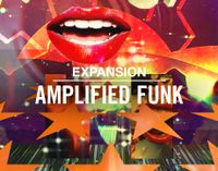 Native Instruments Expansion Amplified Funk Pankow - Prenzlauer Berg Vorschau