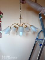 Wohnzimmer Deckenlampe - Lampenschirme Glockenblütenform Thüringen - Stadtroda Vorschau