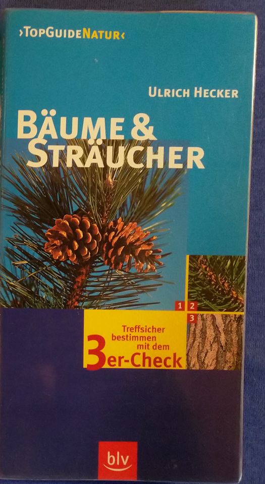 Bäume & Sträucher in Rettenbach