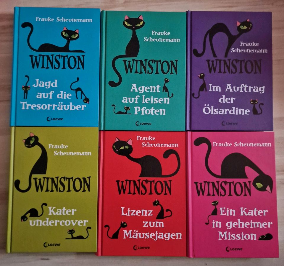 Winston Band 1-4 wie neu in Aglasterhausen