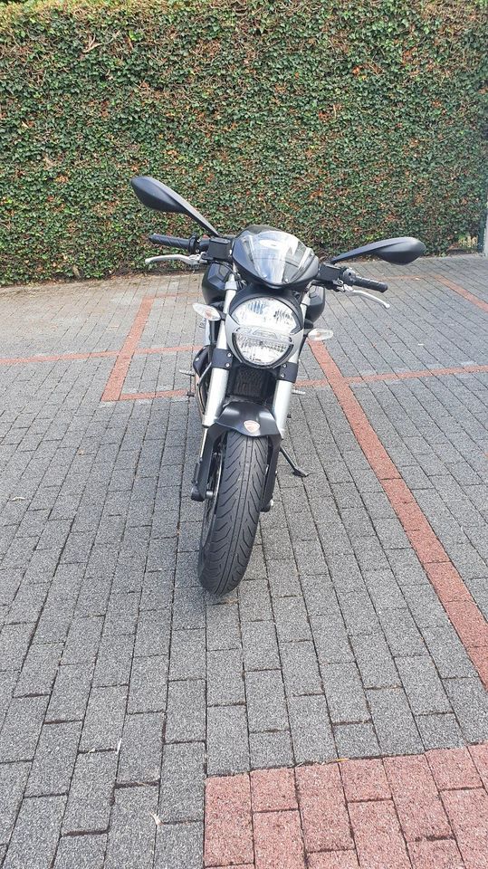 Ducati Monster 696 ABS 2. Hand, ca. 5700 km in Essen