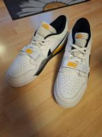 Nike Air Jordan Gr.49,5 Sachsen-Anhalt - Kabelsketal Vorschau