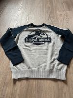 Pullover C&A 140 Jurassic Park Dino Bayern - Megesheim Vorschau