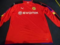 BVB Torwarttrikot Bayern - Aschaffenburg Vorschau