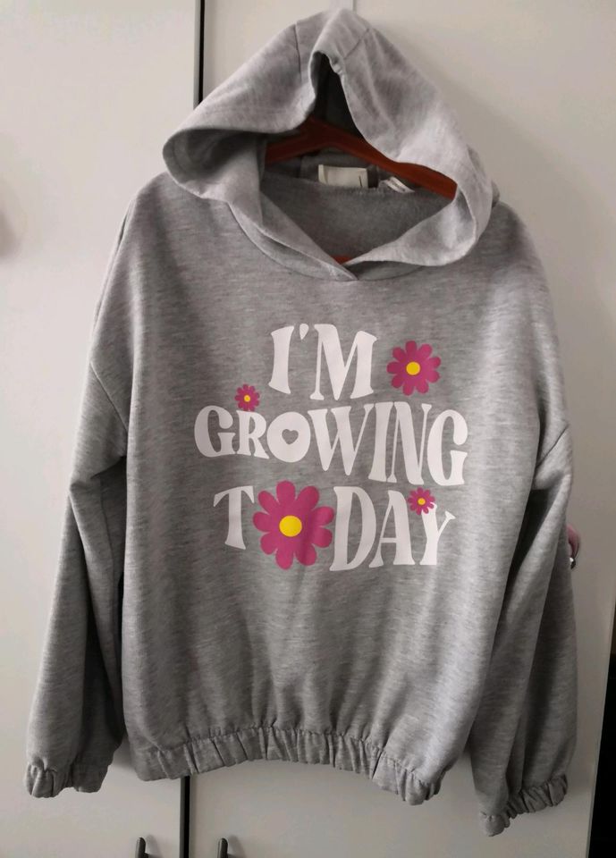 Mädchen Sweatshirt, Mädchen Hoodies, Mädchen Kapuzenpullover in Düsseldorf