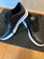 Lacoste Schuhe NEU Dresden - Innere Altstadt Vorschau