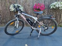 E-MTB, E-Bike Umbau GT Sport 29'' 350W 4'' Display Hyd.Bremsen Nordrhein-Westfalen - Swisttal Vorschau