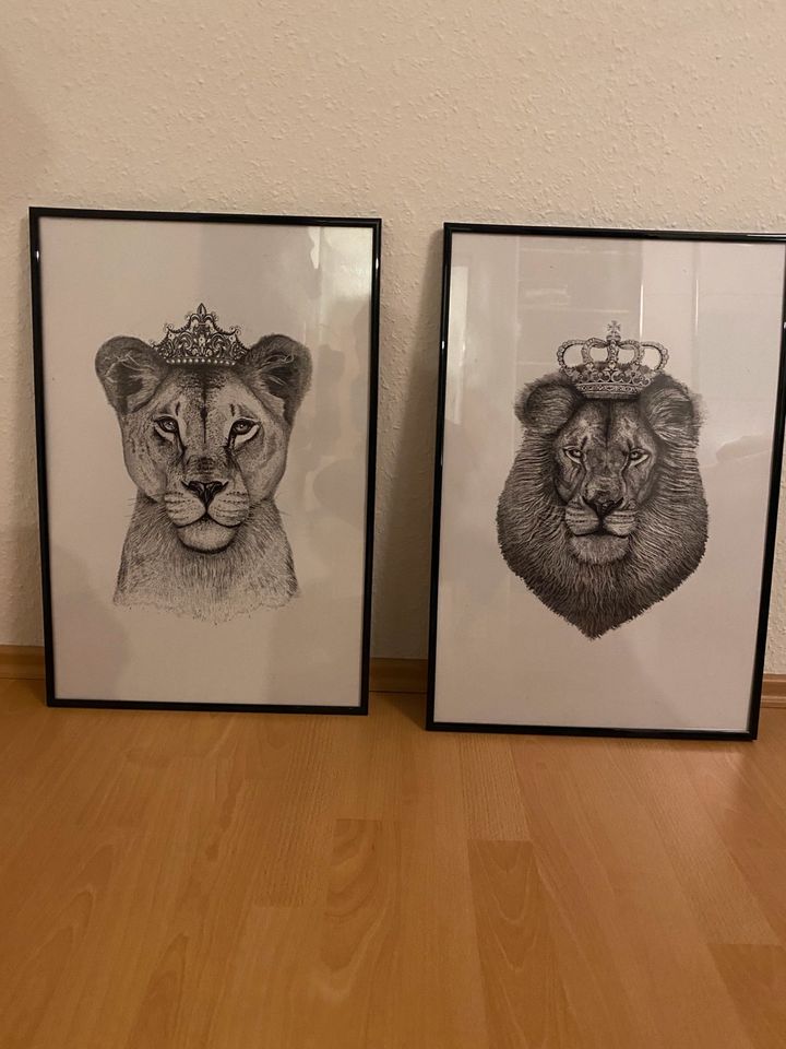 Poster Löwe und Löwin in Ahlen