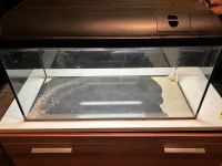 Aquarium 80x35x40 Bielefeld - Brackwede Vorschau