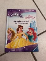Lesernbuch 1. Klasse Erstleser Disney Prinzessin Leseanfänger Niedersachsen - Stelle Vorschau