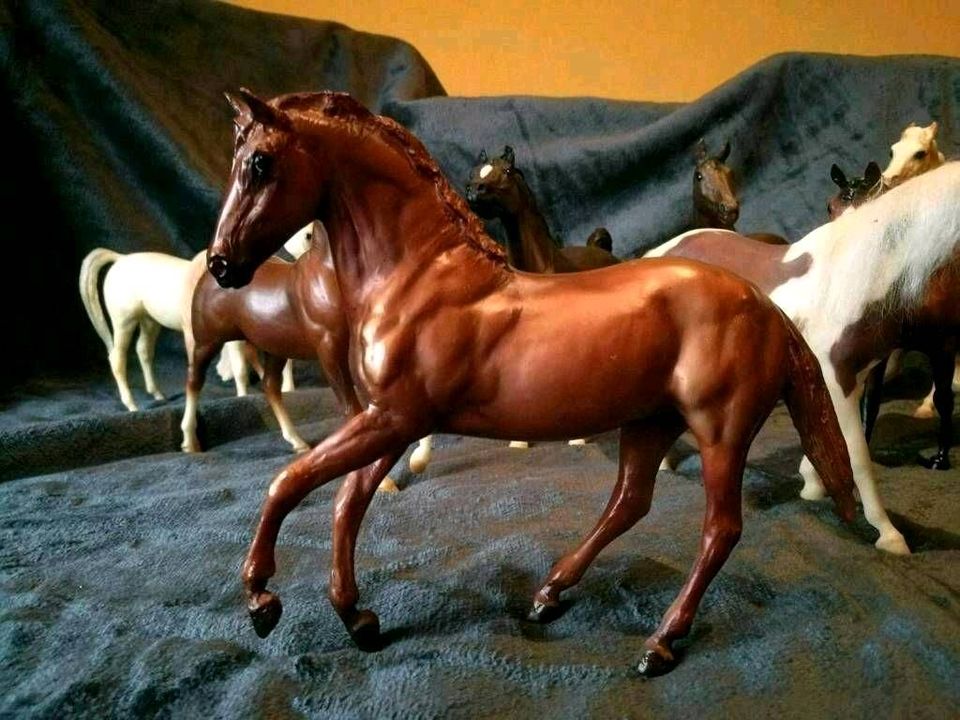 Breyer Classic und Zubehör Kutsche sattel Zaumzeug Hindernisse in Ramsthal