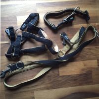 Hundehalsband Führleine Geschirr Set Trixie Sportive Gr M/L Niedersachsen - Bad Rothenfelde Vorschau