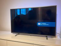 Philips TV  Ambilight mit kaputten Display Rheinland-Pfalz - Landau in der Pfalz Vorschau