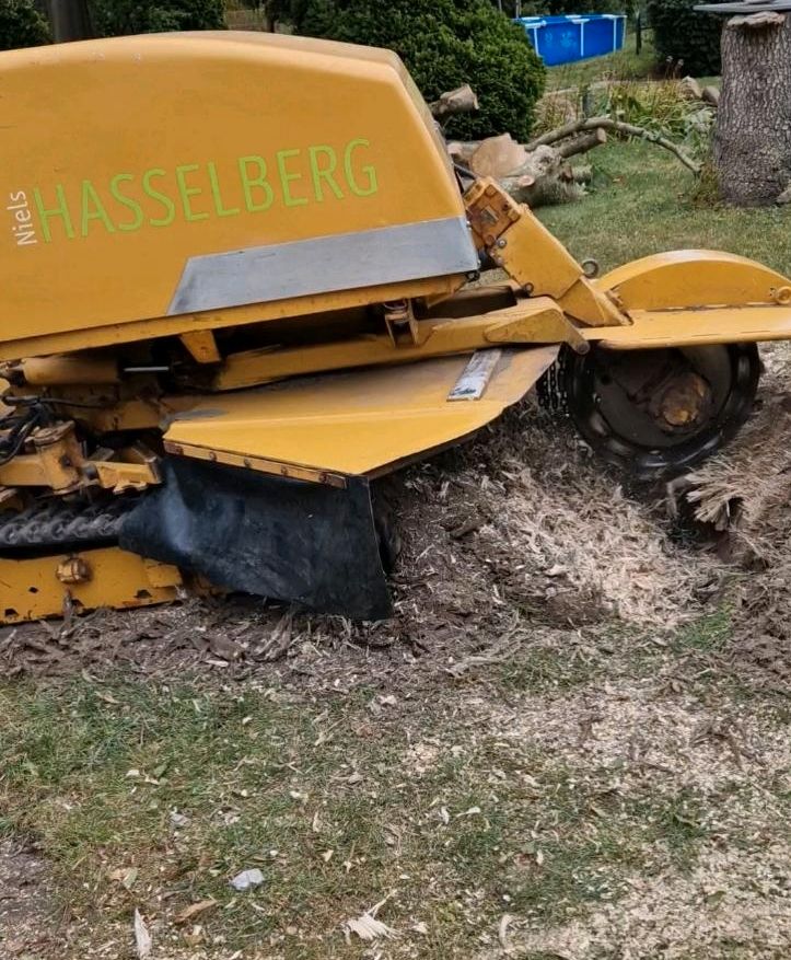 Wurzelfräsen und Wurzelentfernung inkl. Rodung in Beckum