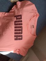 T-Shirt Puma Rheinland-Pfalz - Wissen Vorschau