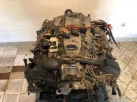 N62 motor bmw x5 4,8i Bayern - Reichertshofen Vorschau