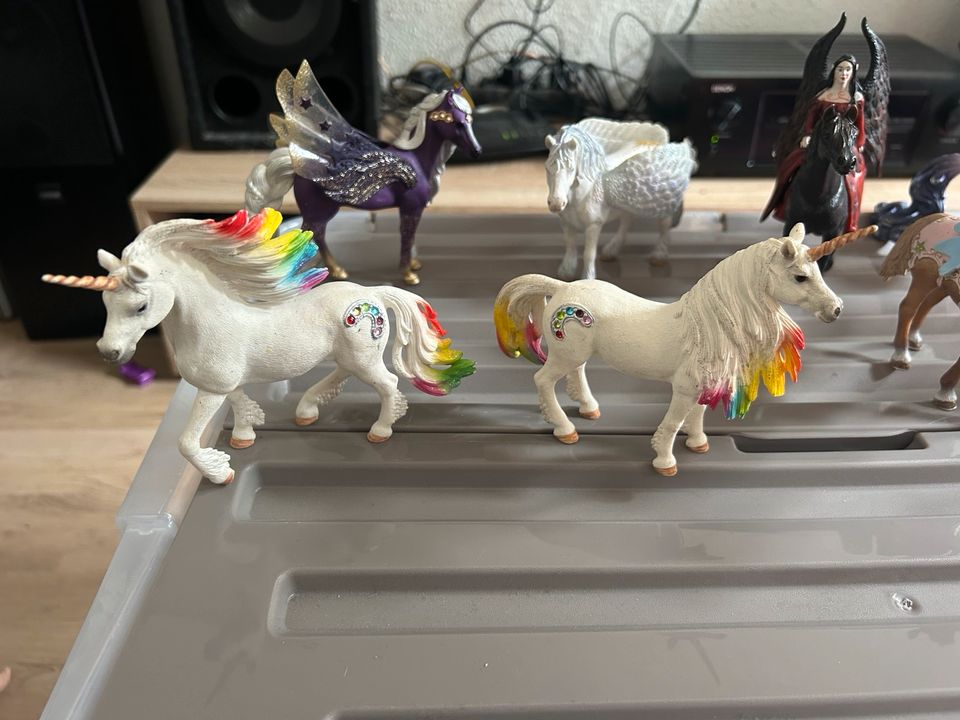 Regenbogen Schleich Pferde in Duisburg