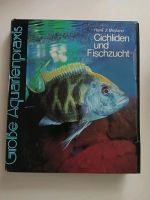 Cichilden und Fischzucht Große Aquarienpraxis Sachsen-Anhalt - Eckartsberga Vorschau