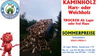 KAMINHOLZ BRENNHOLZ ANFEUERHOLZ BUCHENSPÄNE Räucherspäne Thüringen - Nordhausen Vorschau