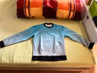 Emporio Armani Pullover hellblau Gr. L Hessen - Bensheim Vorschau