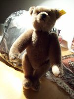 Teddy, 25cm hoch von Steiff Schleswig-Holstein - Rendsburg Vorschau