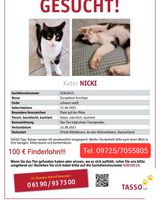 Kater (Katze) vermisst/ Finderlohn 200 € Bayern - Dittelbrunn Vorschau