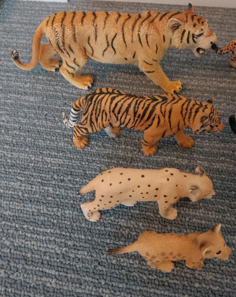 Schleich Set Raubtiere Tiger Löwe Puma in Springe