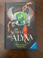 Die Schule der Alyxa, Der dunkle Meister Düsseldorf - Hafen Vorschau