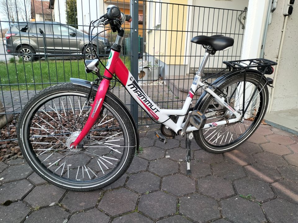 Fahrrad von Mammut, 24 Zoll mit 7-Gang-Nabenschaltung in Mammendorf