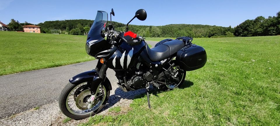 Triumph Tiger 955i in Hausham