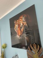 Tiger Glasbild. 80 x 80 cm Hannover - Kirchrode-Bemerode-Wülferode Vorschau