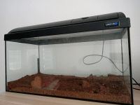 Aquarium / Terrarium 60L Thüringen - Kindelbrück Vorschau