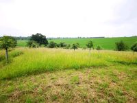 1,5 Hektar für Heu, Heubündel, Heu machen Sachsen-Anhalt - Elsteraue Vorschau