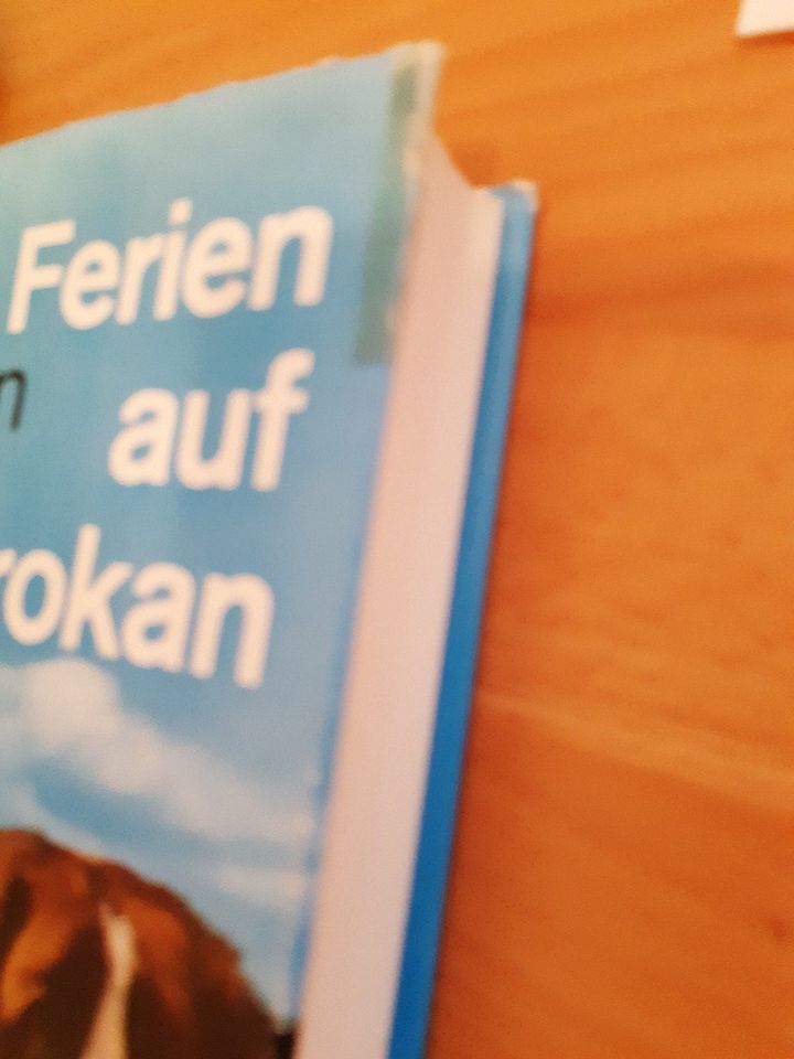 Astrid Lindgren, Ferien auf Saltkrokan, Oetinger, gebundene Ausg. in Löffingen