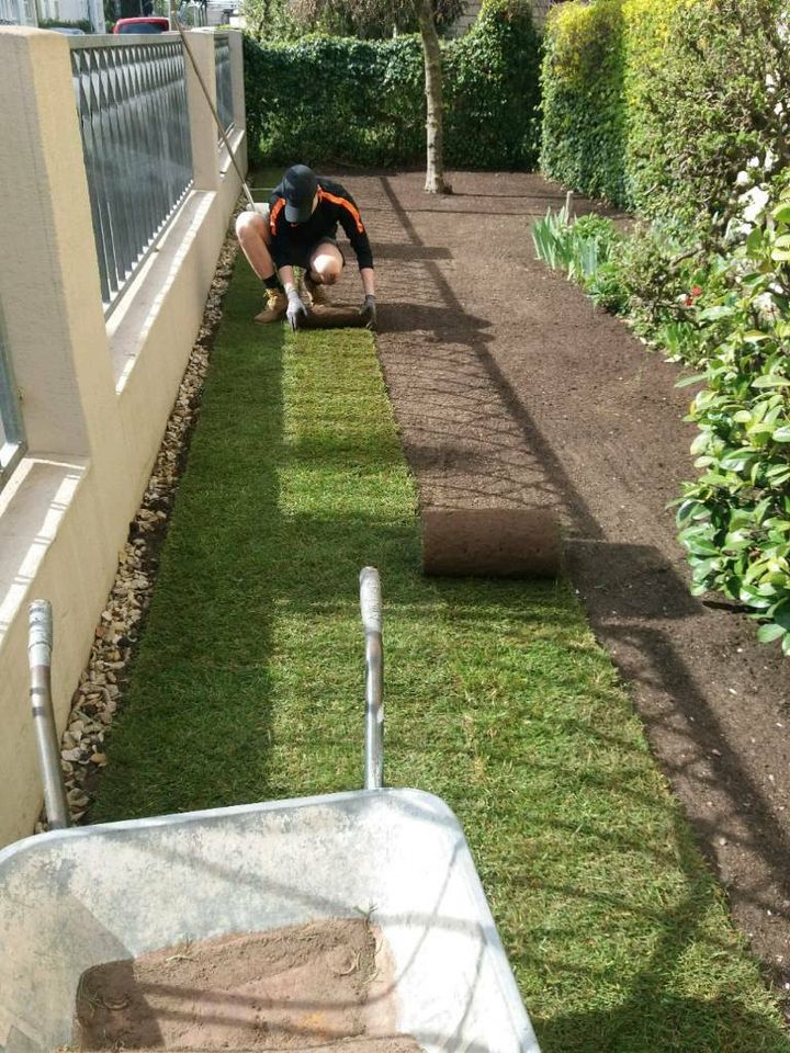 Gartenarbeit Baumfällung Rodungsarbeiten Wurzelentfernung Verleih in Höchstadt