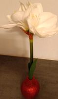 Abella Flora,, Amaryllis Koblenz - Goldgrube Vorschau