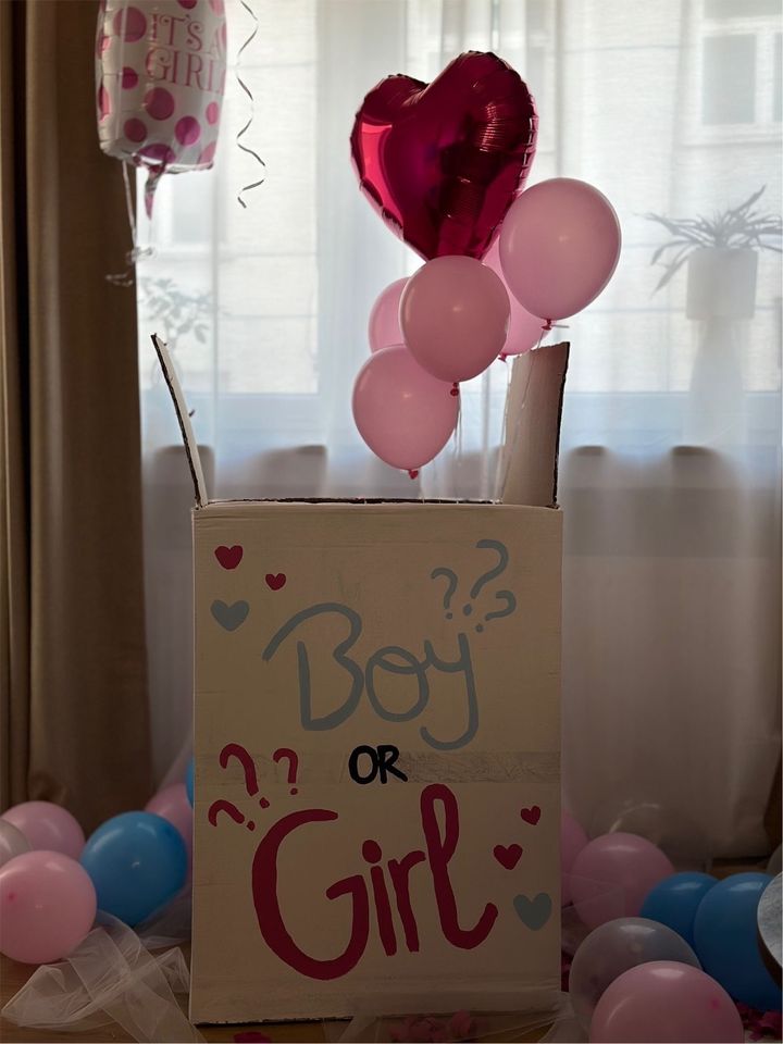 Gender Reveal Box Ballons in Schwelm