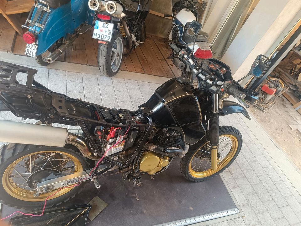 Honda xl600r PD04 in Krostitz