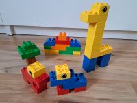 LEGO Duplo 5514 Grundbausteine Fun Building Bayern - Kalchreuth Vorschau
