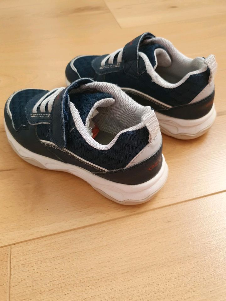 Turnschuhe/ Sneaker von Geox in Größe 29 für Jungs in Denzlingen