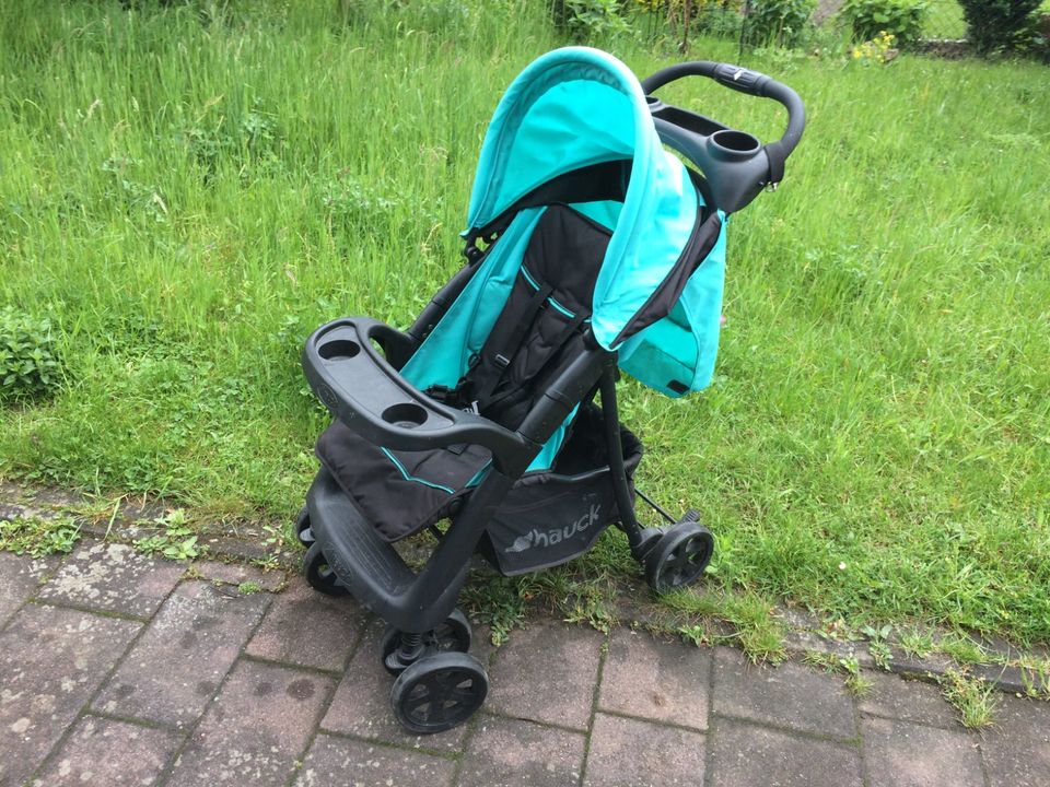 Hauck Buggy in Neustadt b.Coburg