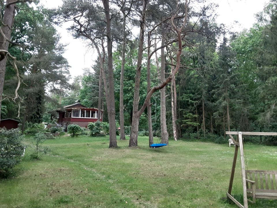 Solides Haus im Esseler Wald in Hodenhagen