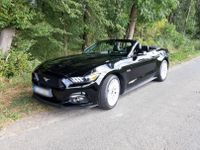 Ford Mustang 5.0 V8 GT Cabrio Hannover - Herrenhausen-Stöcken Vorschau