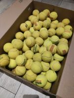111 gebrauchte Tennisbälle Nordrhein-Westfalen - Moers Vorschau
