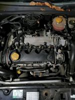 Vectra C Motor Z19DT 120 PS Nordrhein-Westfalen - Petershagen Vorschau