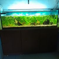 Aquarium 250L Bayern - Faulbach Vorschau