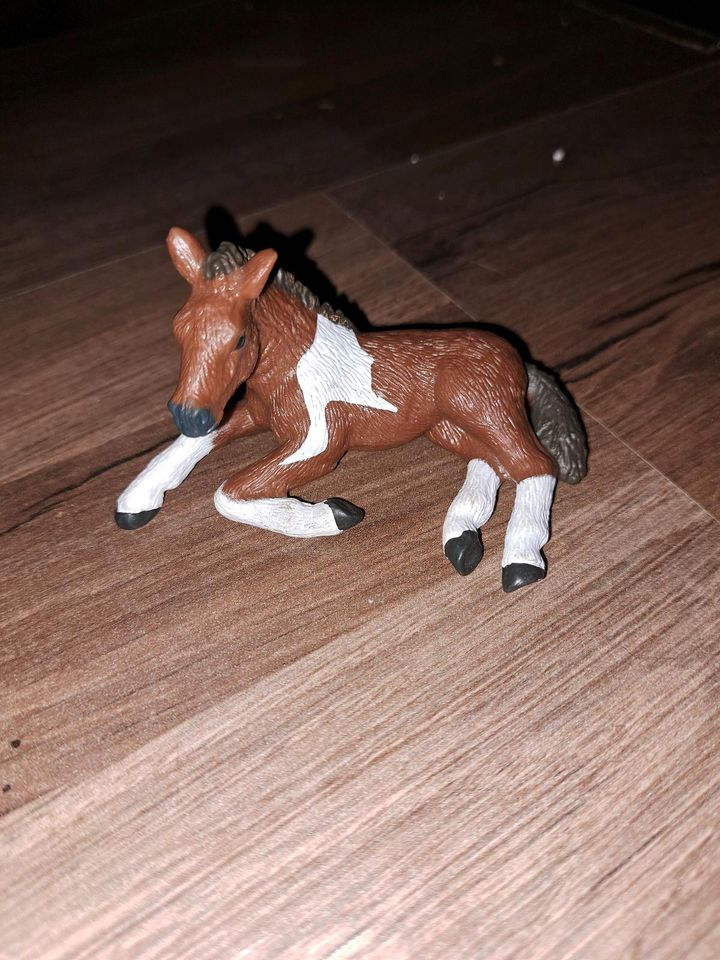 Schleich Pferde in Rahden