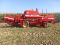 Suche Mähdrescher Massey Ferguson MF 186 187 206 240 307 506 507 Baden-Württemberg - Neuler Vorschau