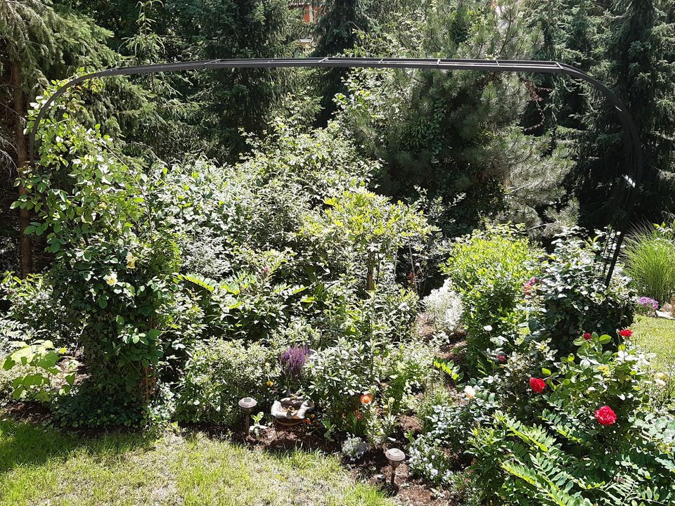 Rosenbogen BARCELONA  Pergola Gartenbogen Torbogen Rosensäule in Görlitz